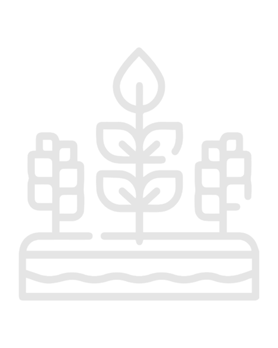 Side icon-02-01-01